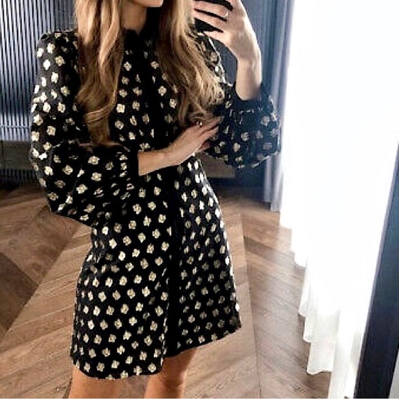Zara Black with Gold Metallic Polka Dots Aline Button Up Holiday Dress - Picture 5 of 6
